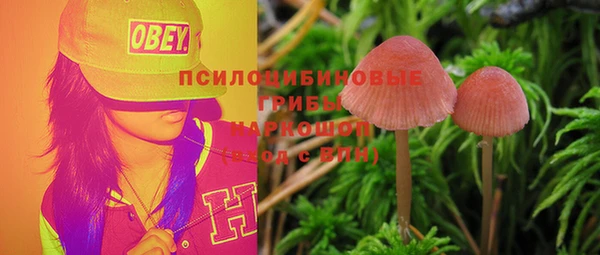 дурь Абаза