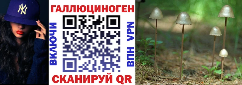 купить наркоту  blacksprut зеркало  Галлюциногенные грибы мухоморы  Нестеровская 